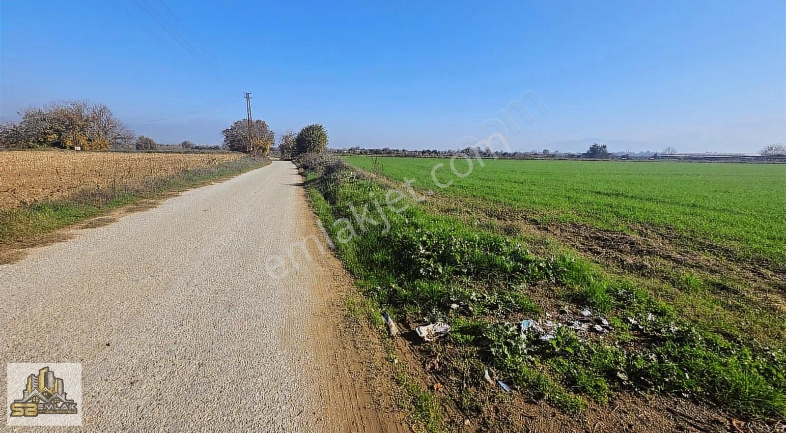 İzmir Tire Sb Emlak'tan Kahrat Mahallesinde Yatırımlık Tarla - Görsel 9