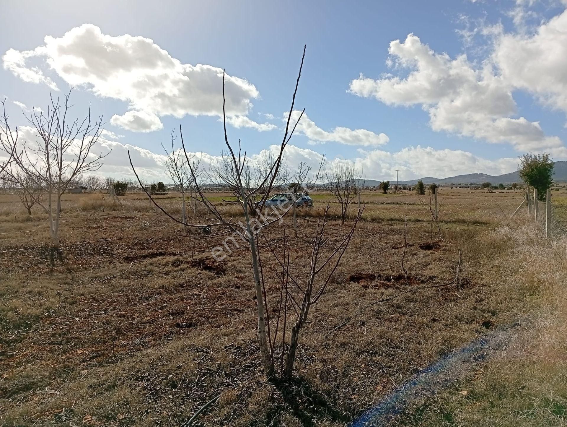 Antalya Korkuteli Kevzer Mahallesinde Satılık Tarla No.20573​ - Görsel 16