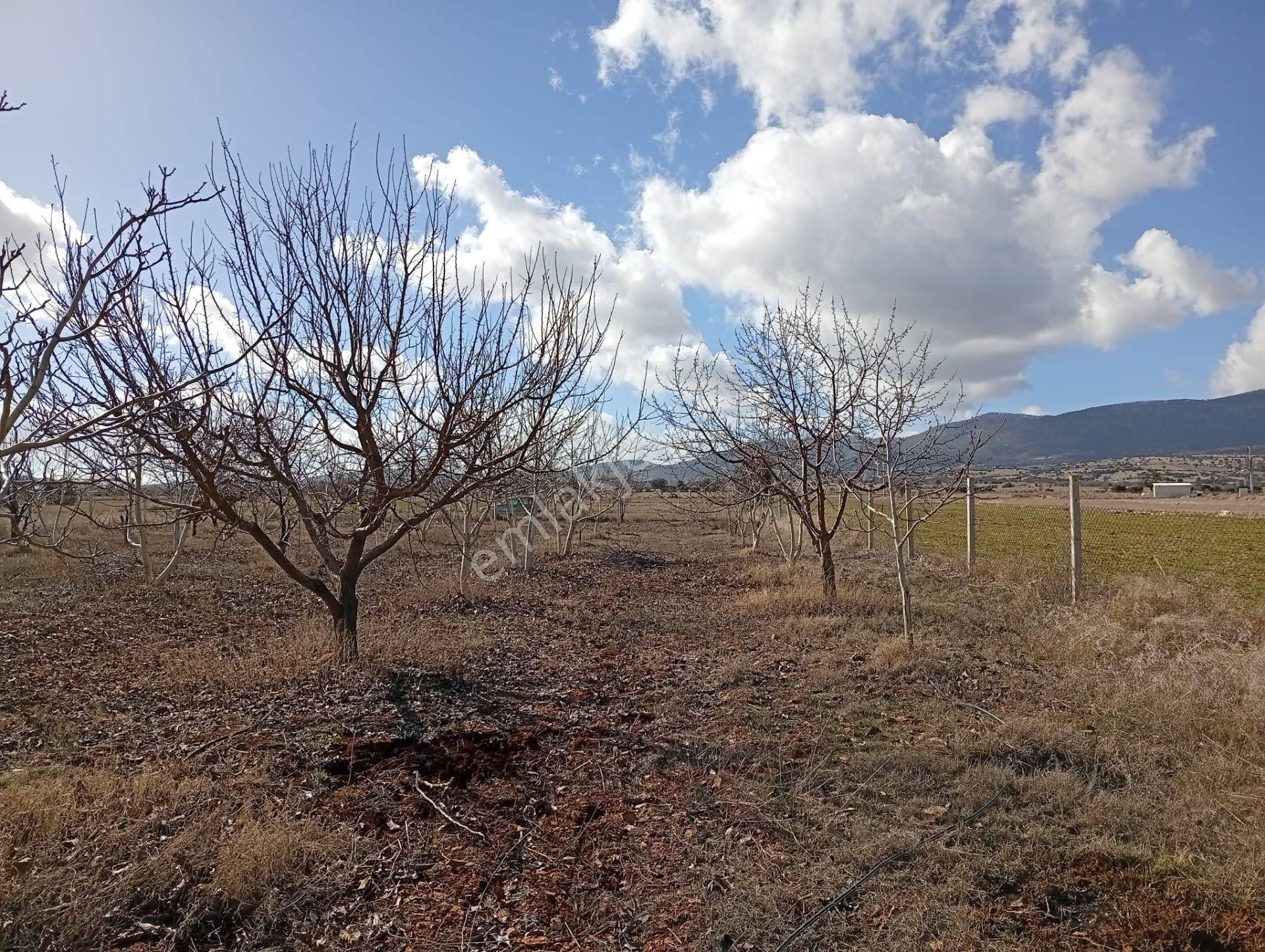 Antalya Korkuteli Kevzer Mahallesinde Satılık Tarla No.20573​ - Görsel 3