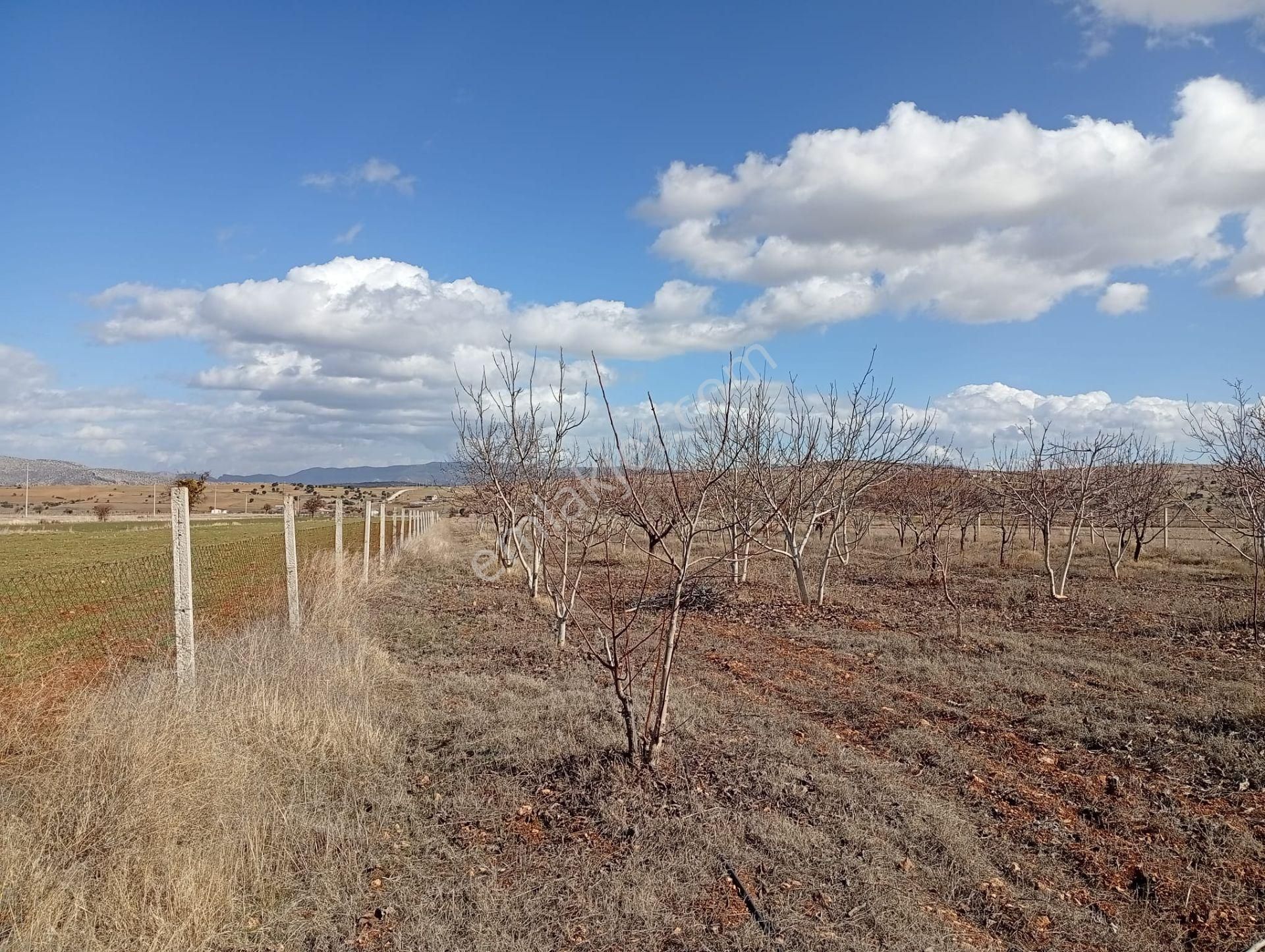 Antalya Korkuteli Kevzer Mahallesinde Satılık Tarla No.20573​ - Görsel 17