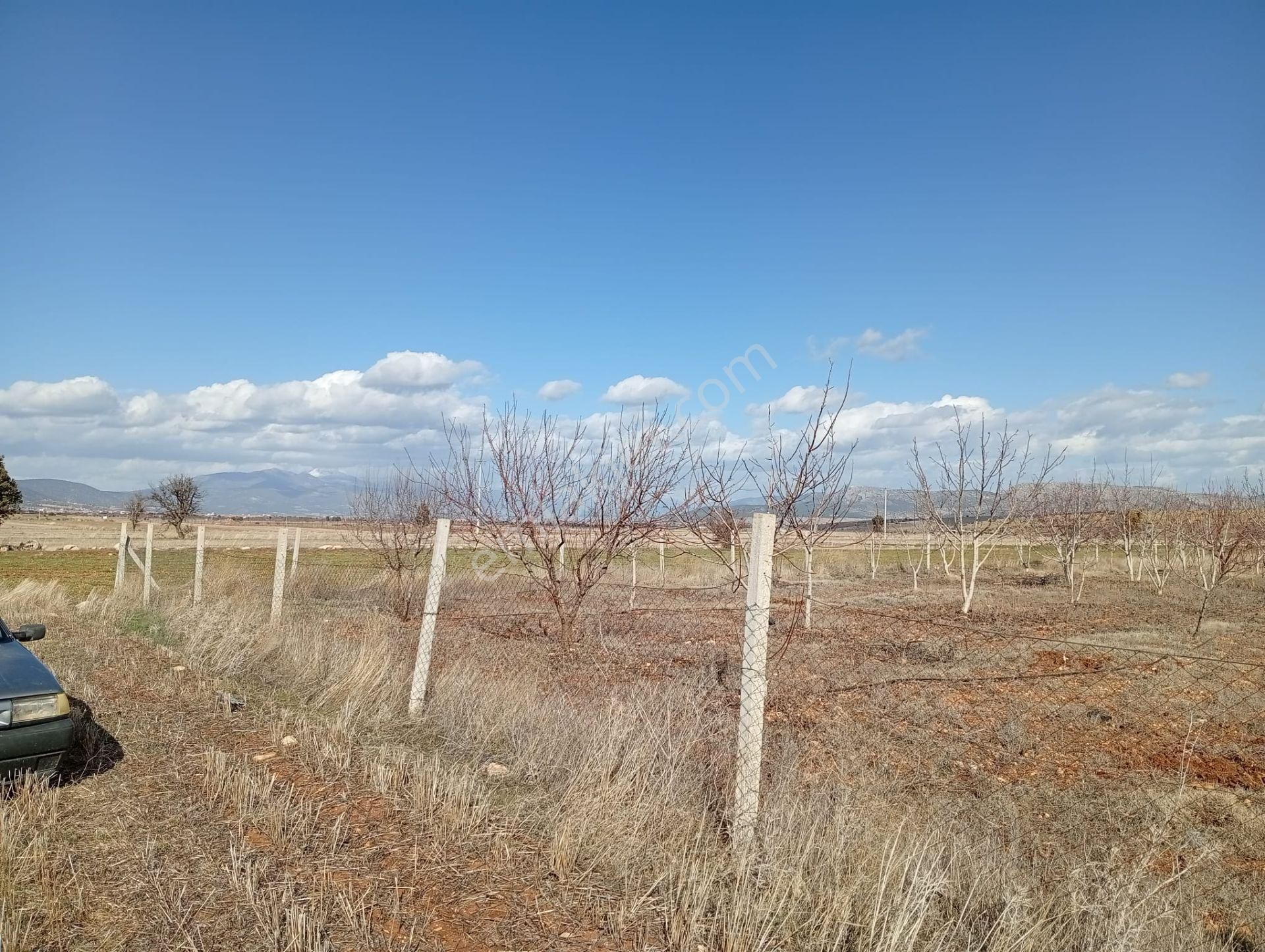 Antalya Korkuteli Kevzer Mahallesinde Satılık Tarla No.20573​ - Görsel 6