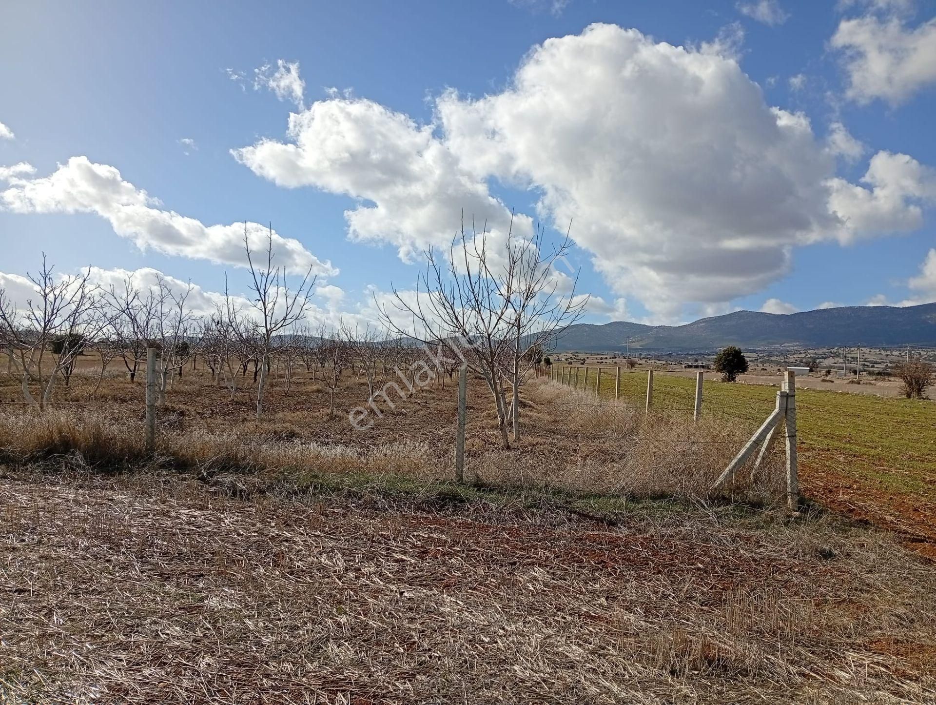 Antalya Korkuteli Kevzer Mahallesinde Satılık Tarla No.20573​ - Görsel 11