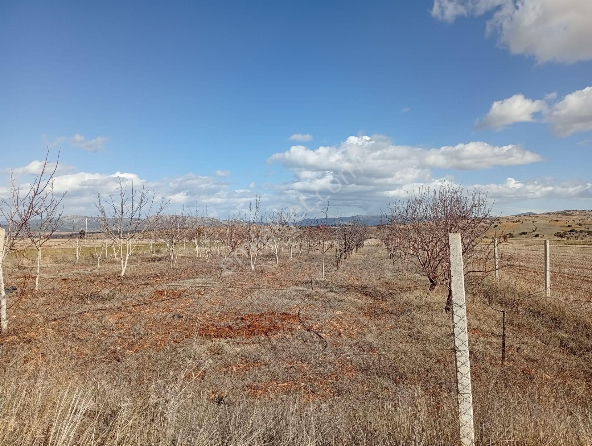 Antalya Korkuteli Kevzer Mahallesinde Satılık Tarla No.20573​
