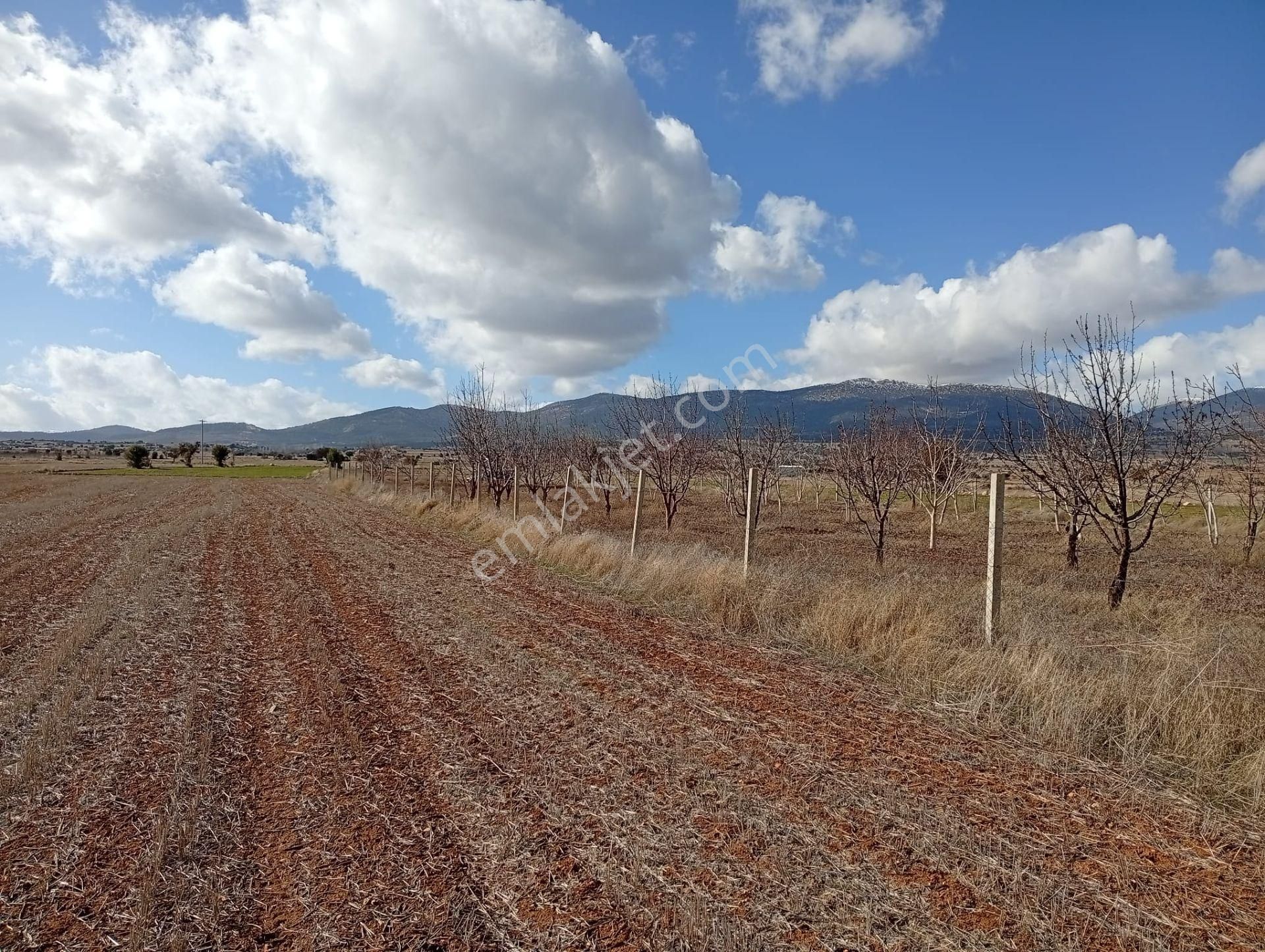 Antalya Korkuteli Kevzer Mahallesinde Satılık Tarla No.20573​ - Görsel 8