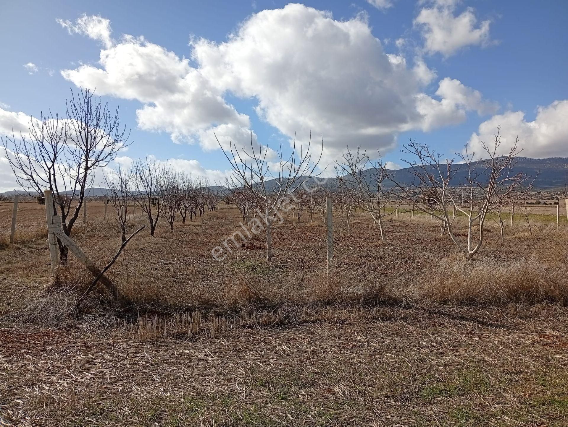 Antalya Korkuteli Kevzer Mahallesinde Satılık Tarla No.20573​ - Görsel 9