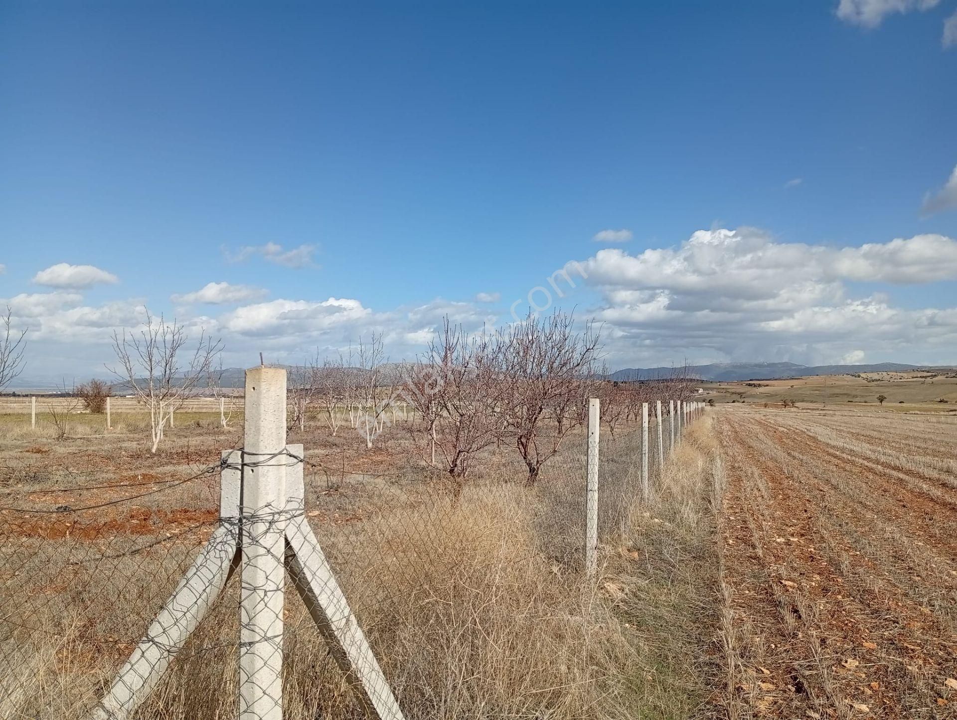 Antalya Korkuteli Kevzer Mahallesinde Satılık Tarla No.20573​ - Görsel 5