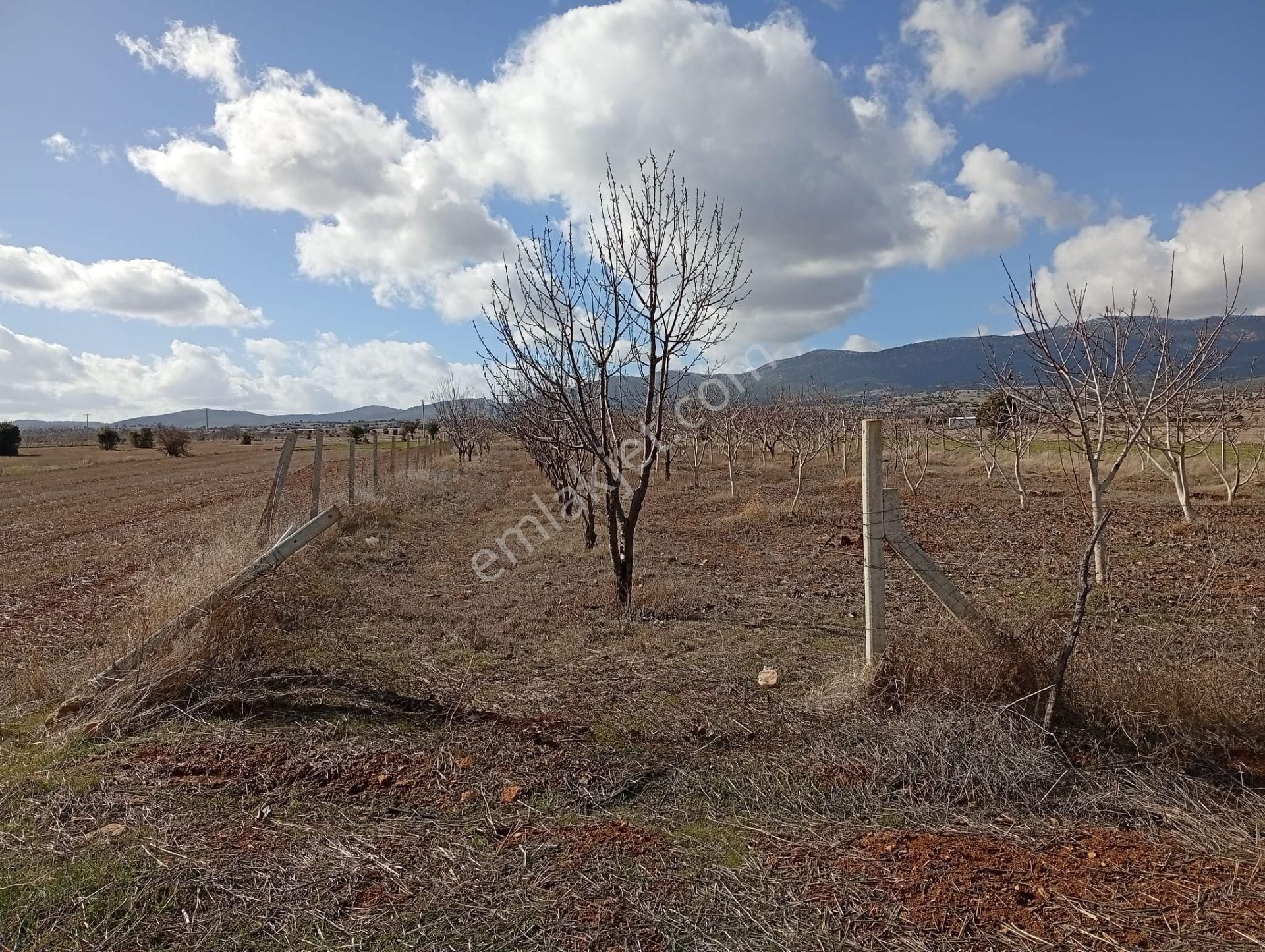 Antalya Korkuteli Kevzer Mahallesinde Satılık Tarla No.20573​ - Görsel 10