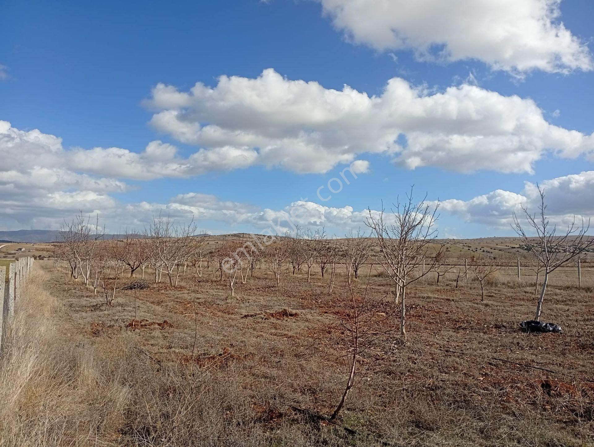 Antalya Korkuteli Kevzer Mahallesinde Satılık Tarla No.20573​ - Görsel 18