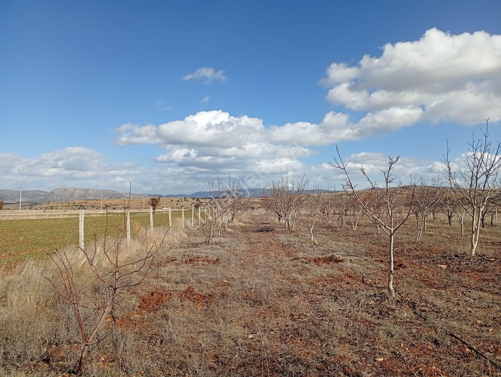 Antalya Korkuteli Kevzer Mahallesinde Satılık Tarla No.20573​ - Görsel 2