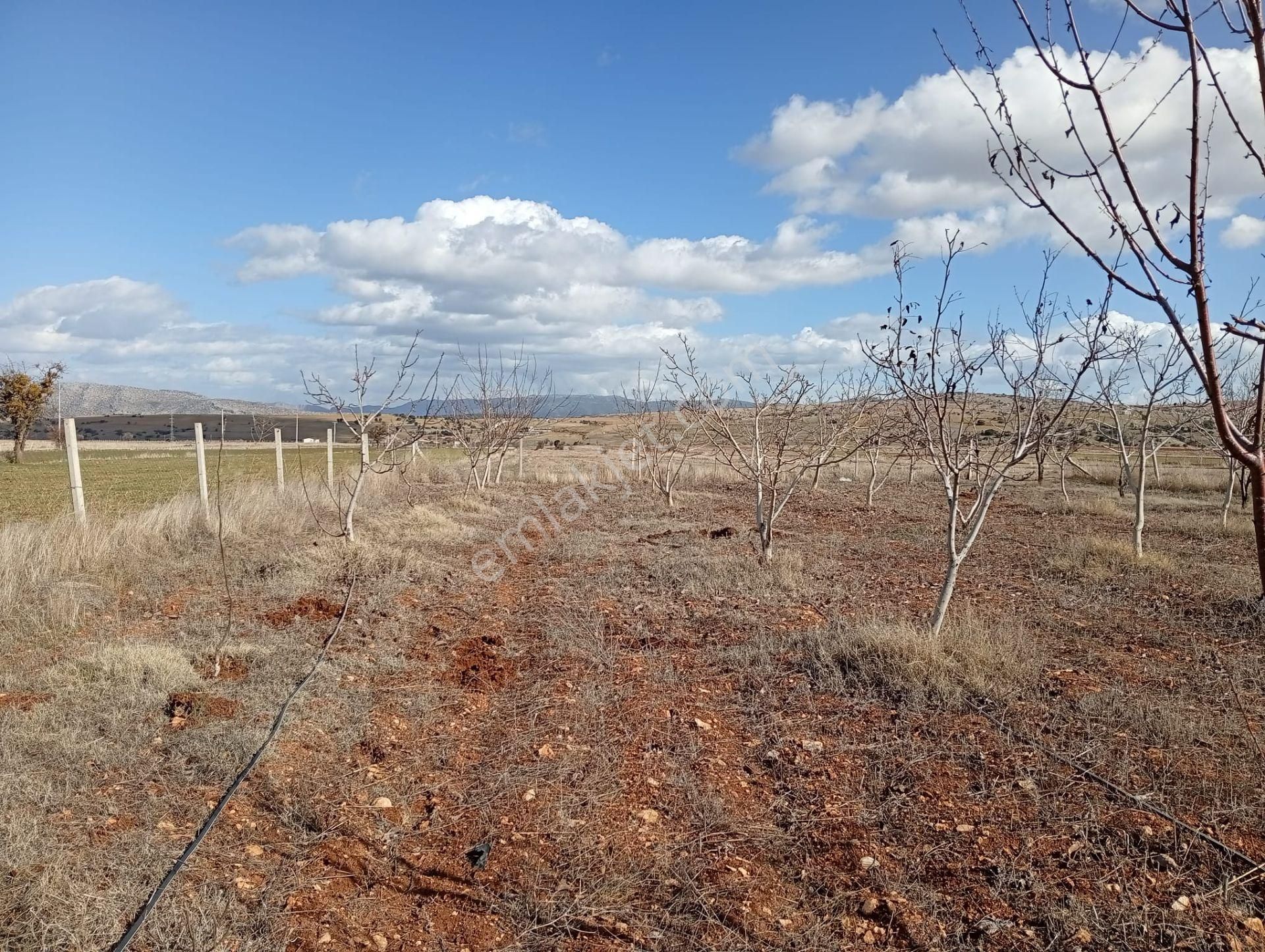 Antalya Korkuteli Kevzer Mahallesinde Satılık Tarla No.20573​ - Görsel 13