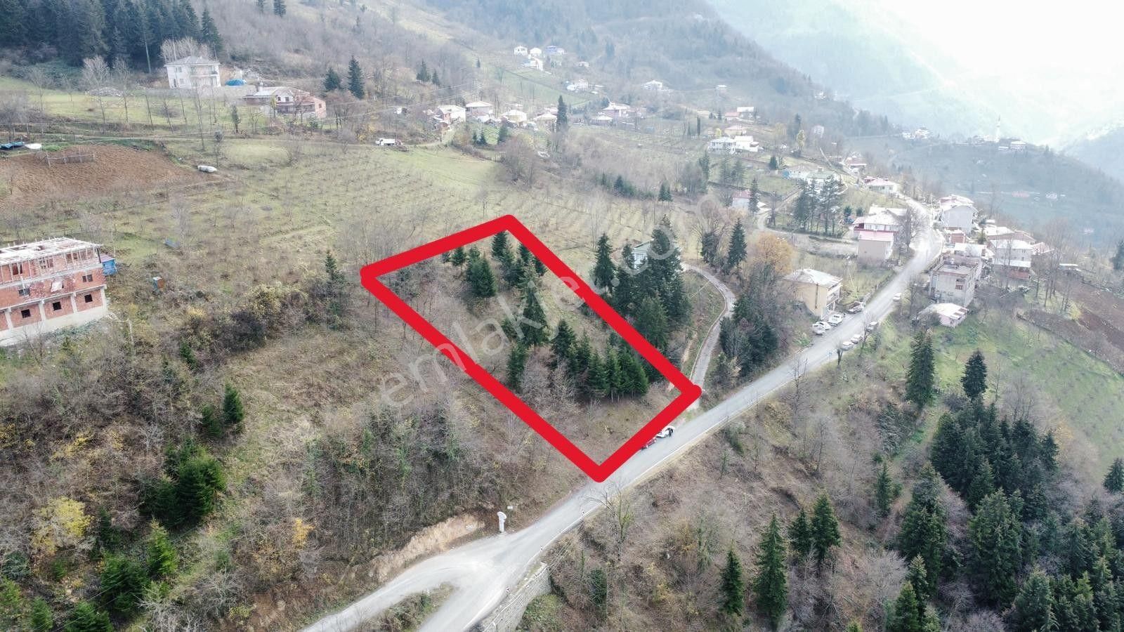 Trabzon Maçka'da Satılık Arazi - Görsel 15