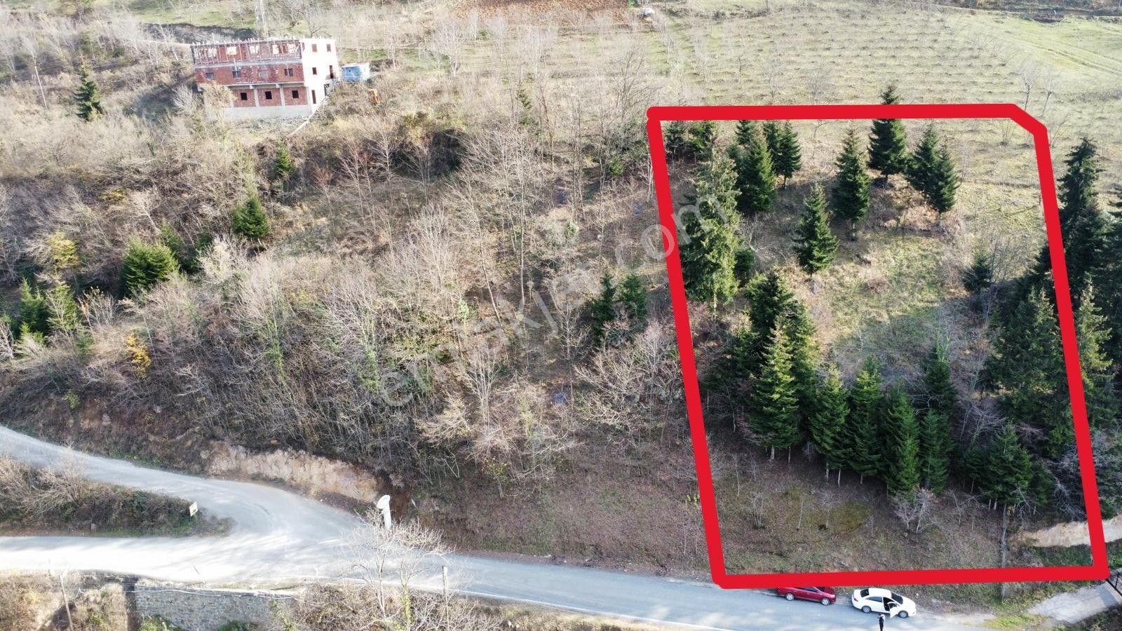 Trabzon Maçka'da Satılık Arazi - Görsel 19