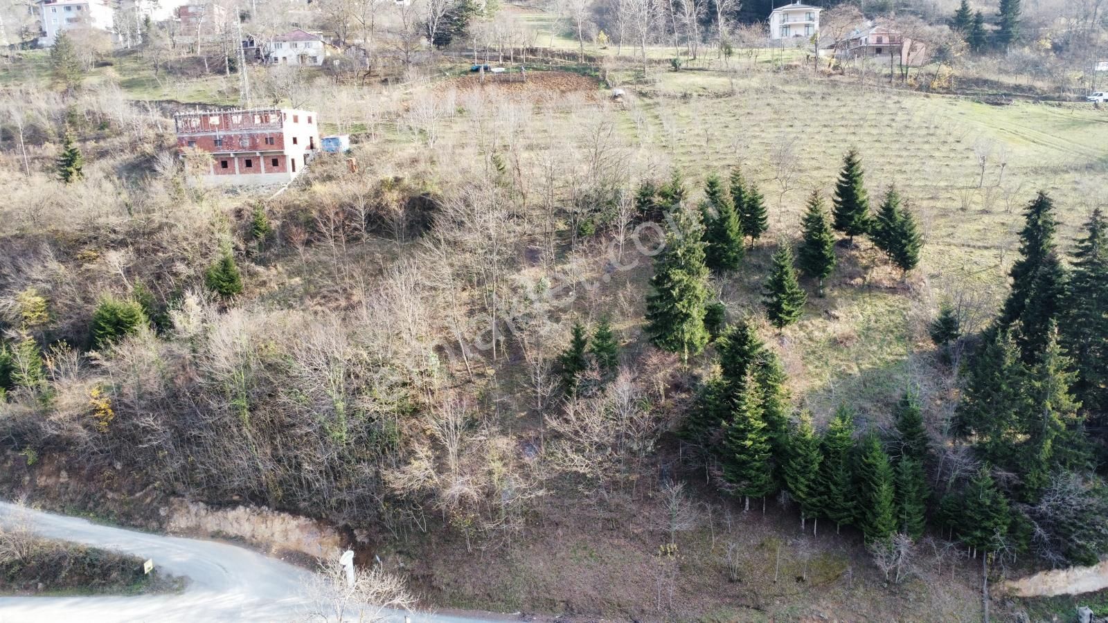 Trabzon Maçka'da Satılık Arazi - Görsel 7