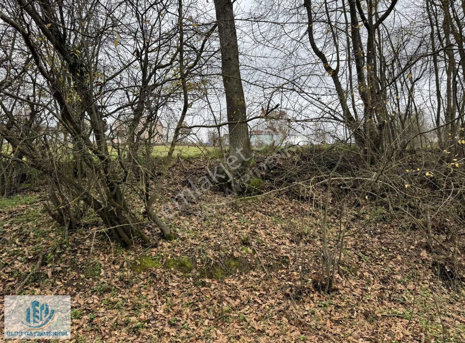 Çatalca Aydınlar Mah Satılık Müstakil Gece Kondu Kat Mülkiyetli - Görsel 25