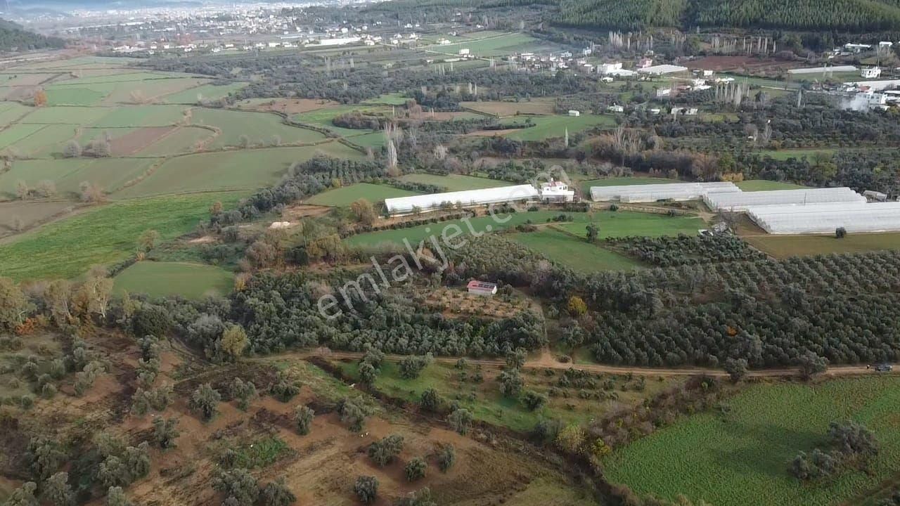 S.kemer Merkeze Yakın 10.414 M2 Kadastrol Yolu Olan Büyük Arazi - Görsel 21