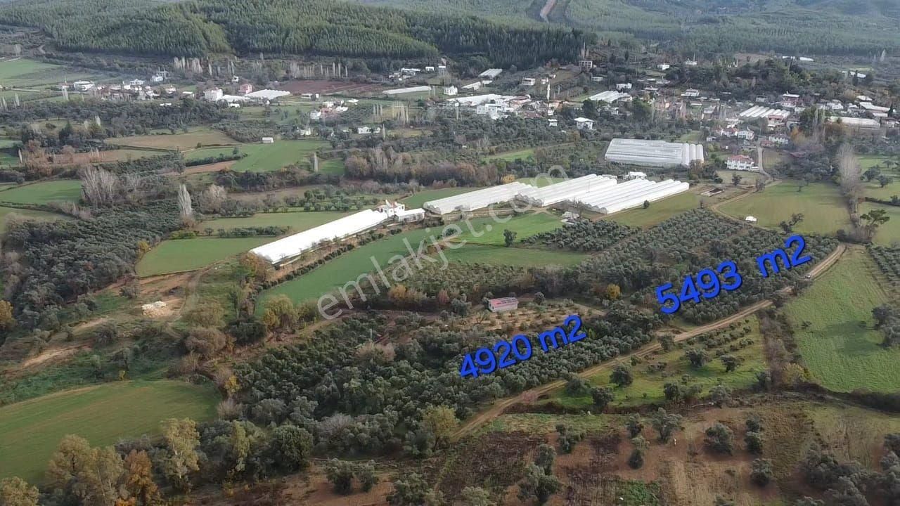 S.kemer Merkeze Yakın 10.414 M2 Kadastrol Yolu Olan Büyük Arazi - Görsel 15
