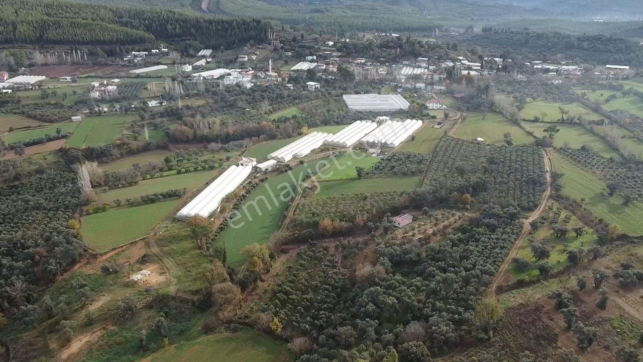 S.kemer Merkeze Yakın 10.414 M2 Kadastrol Yolu Olan Büyük Arazi - Görsel 24