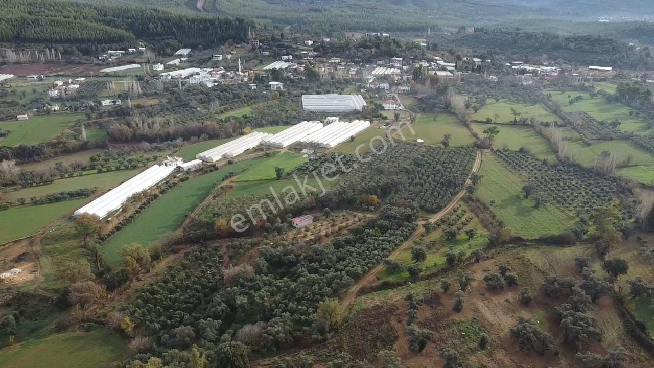 S.kemer Merkeze Yakın 10.414 M2 Kadastrol Yolu Olan Büyük Arazi - Görsel 22