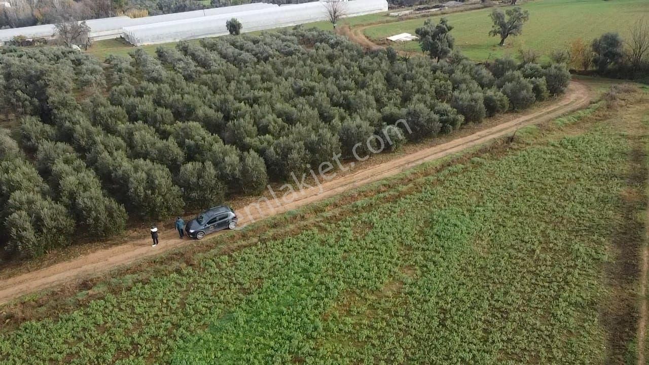 S.kemer Merkeze Yakın 10.414 M2 Kadastrol Yolu Olan Büyük Arazi - Görsel 10