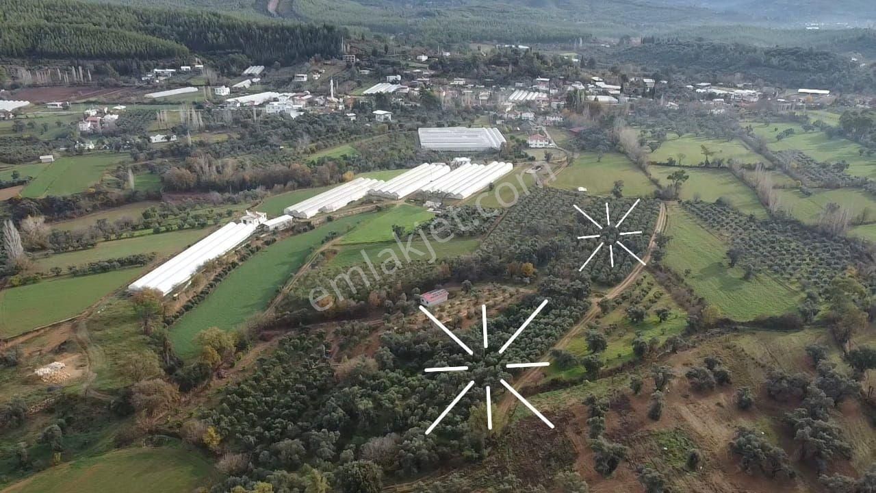 S.kemer Merkeze Yakın 10.414 M2 Kadastrol Yolu Olan Büyük Arazi - Görsel 14