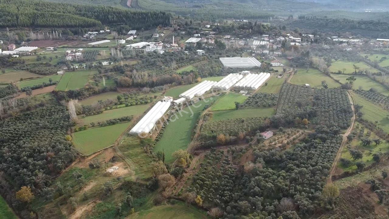S.kemer Merkeze Yakın 10.414 M2 Kadastrol Yolu Olan Büyük Arazi - Görsel 9