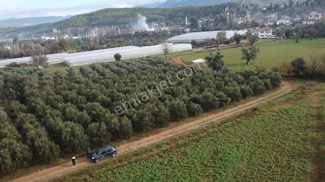 S.kemer Merkeze Yakın 10.414 M2 Kadastrol Yolu Olan Büyük Arazi - Görsel 17