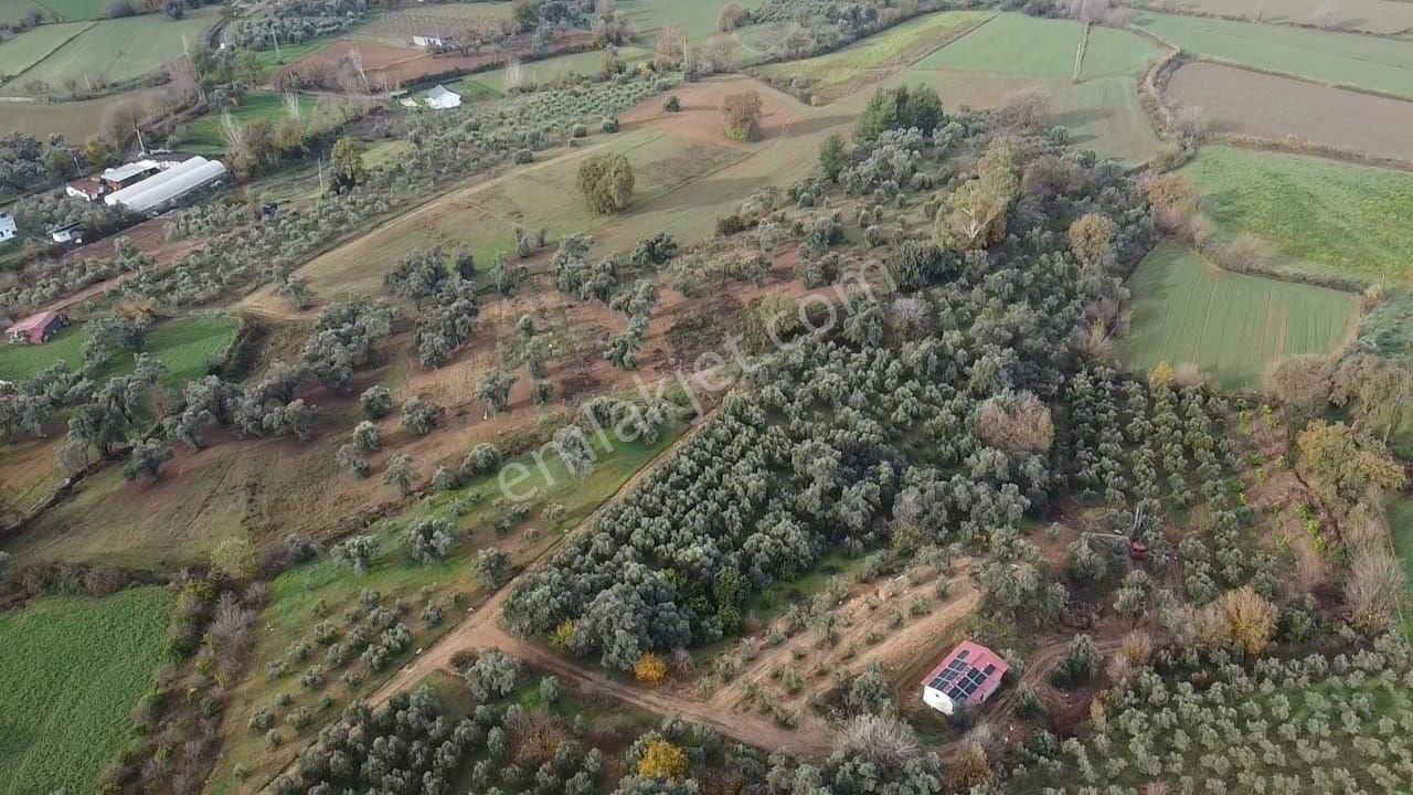 S.kemer Merkeze Yakın 10.414 M2 Kadastrol Yolu Olan Büyük Arazi - Görsel 13