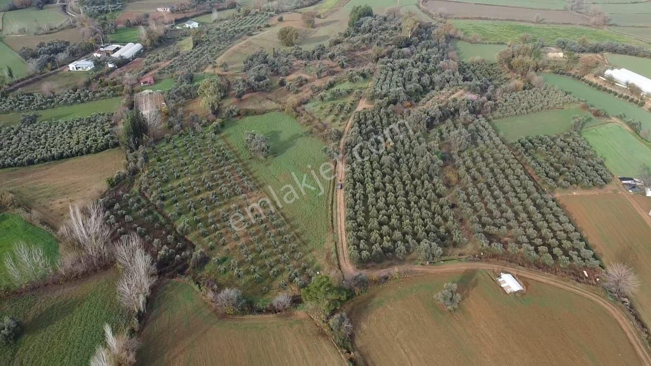 S.kemer Merkeze Yakın 10.414 M2 Kadastrol Yolu Olan Büyük Arazi - Görsel 23