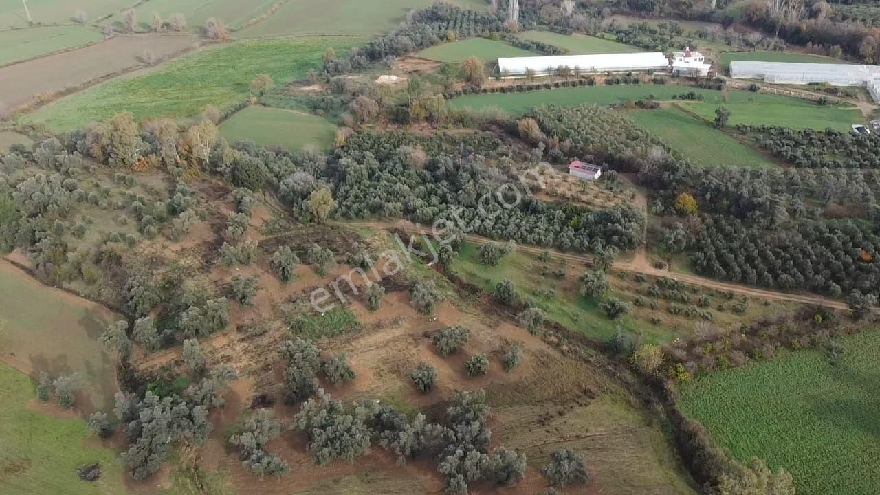 S.kemer Merkeze Yakın 10.414 M2 Kadastrol Yolu Olan Büyük Arazi - Görsel 12