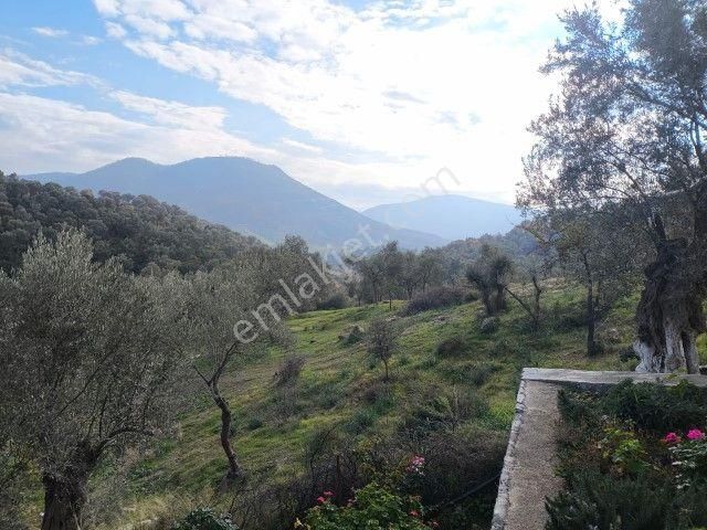 Seferihisar Orhanlı Köyünde Köy İmarlı Satılık Arsa - Görsel 13