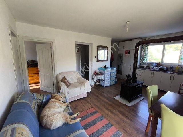 Seferihisar Orhanlı Köyünde Köy İmarlı Satılık Arsa - Görsel 2