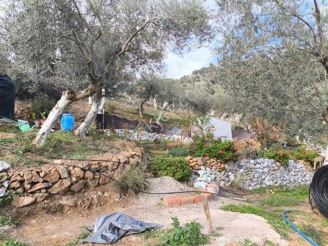 Seferihisar Orhanlı Köyünde Köy İmarlı Satılık Arsa - Görsel 30