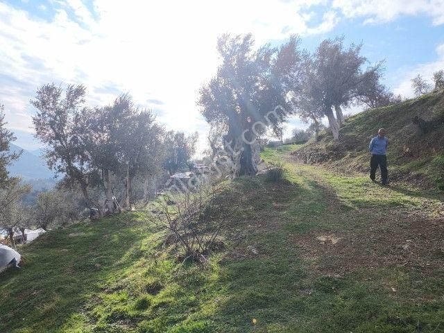 Seferihisar Orhanlı Köyünde Köy İmarlı Satılık Arsa - Görsel 17