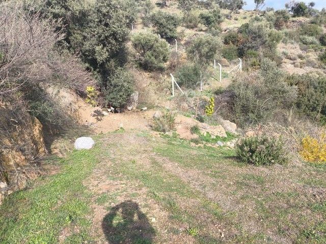 Seferihisar Orhanlı Köyünde Köy İmarlı Satılık Arsa - Görsel 19