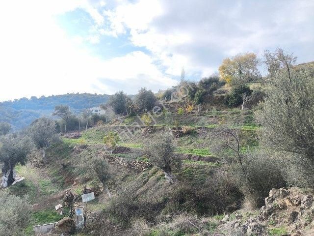 Seferihisar Orhanlı Köyünde Köy İmarlı Satılık Arsa - Görsel 33