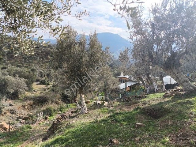 Seferihisar Orhanlı Köyünde Köy İmarlı Satılık Arsa - Görsel 21