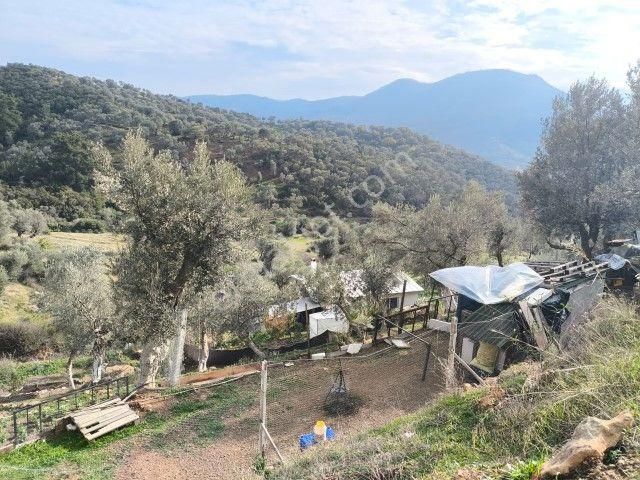 Seferihisar Orhanlı Köyünde Köy İmarlı Satılık Arsa - Görsel 15