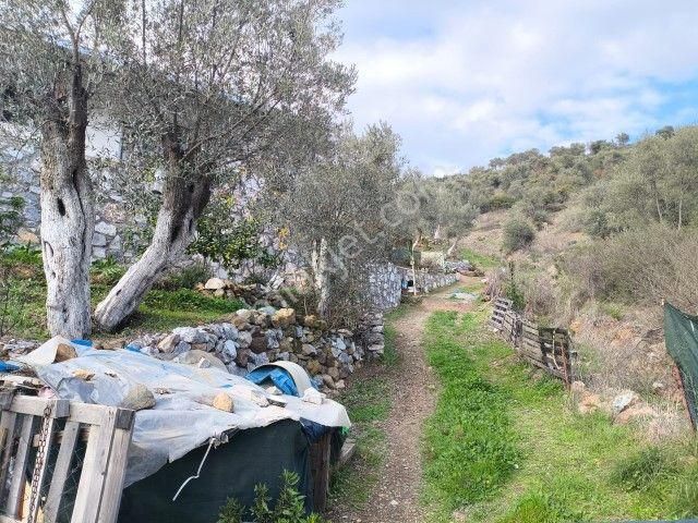 Seferihisar Orhanlı Köyünde Köy İmarlı Satılık Arsa - Görsel 29