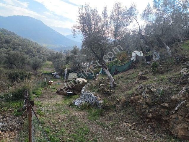 Seferihisar Orhanlı Köyünde Köy İmarlı Satılık Arsa - Görsel 22