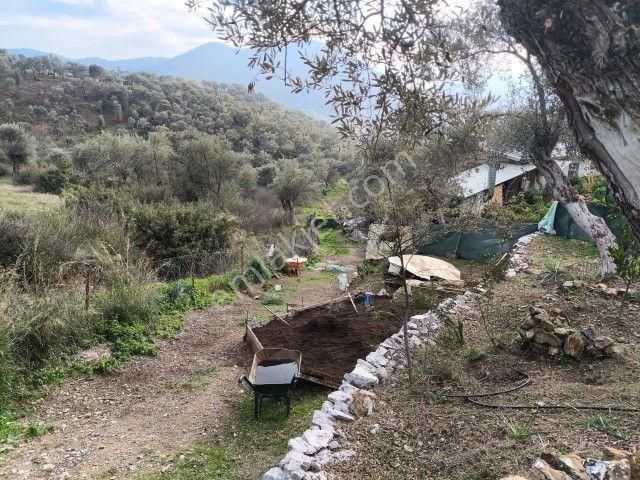 Seferihisar Orhanlı Köyünde Köy İmarlı Satılık Arsa - Görsel 25