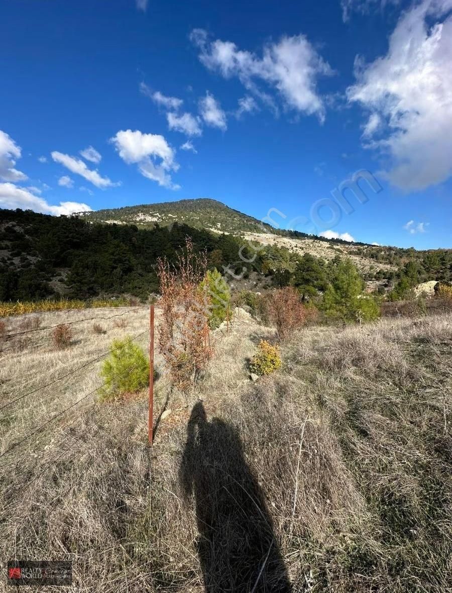 Kumluca Gölcük'te Harika Lokasyonda Tek Tapu Tarla - Görsel 7
