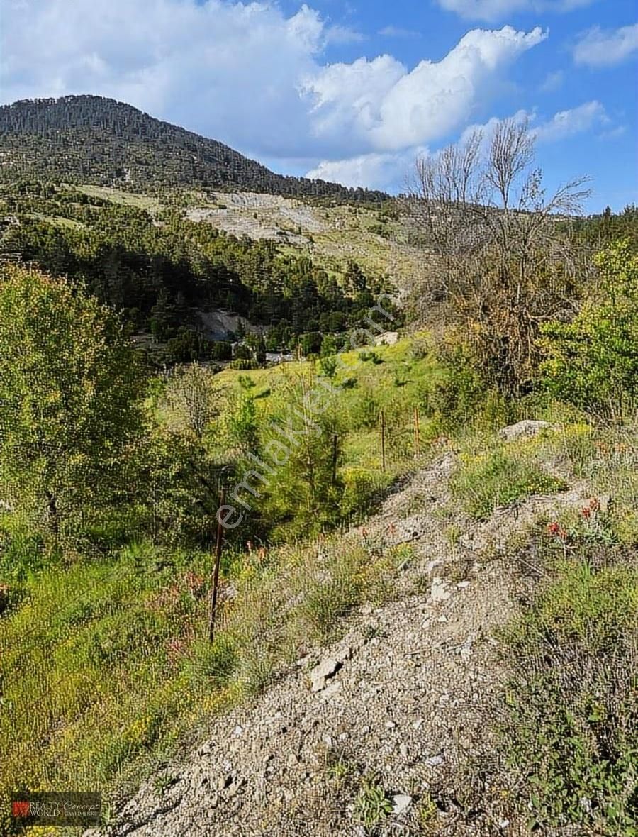 Kumluca Gölcük'te Harika Lokasyonda Tek Tapu Tarla - Görsel 6