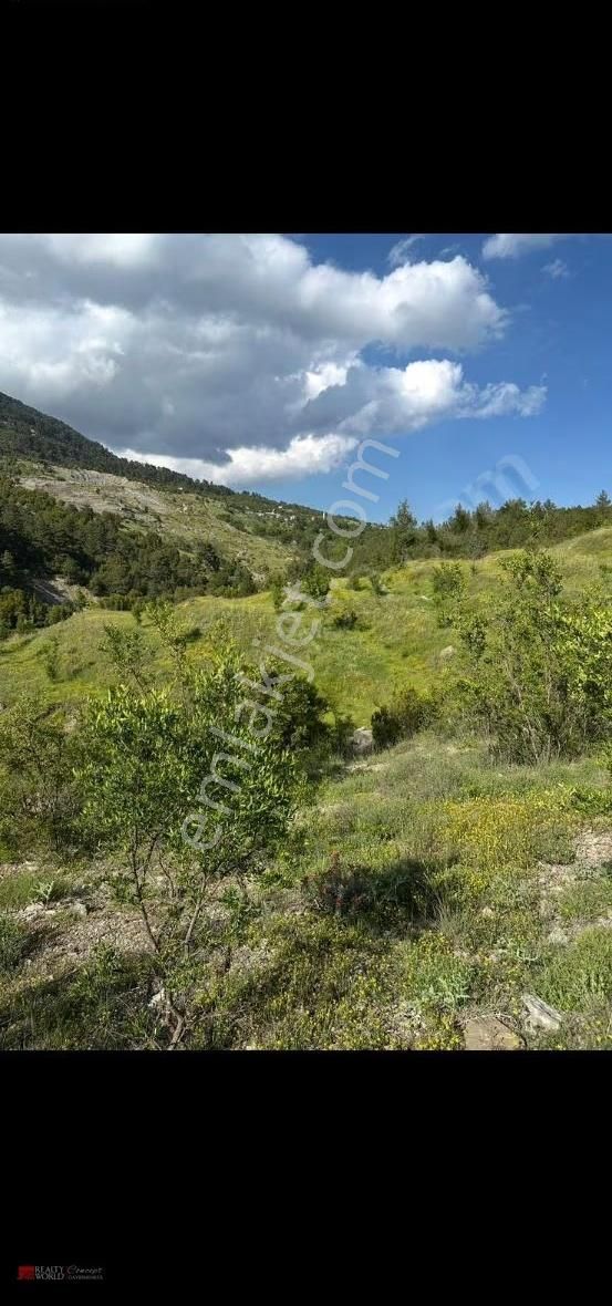 Kumluca Gölcük'te Harika Lokasyonda Tek Tapu Tarla - Görsel 5