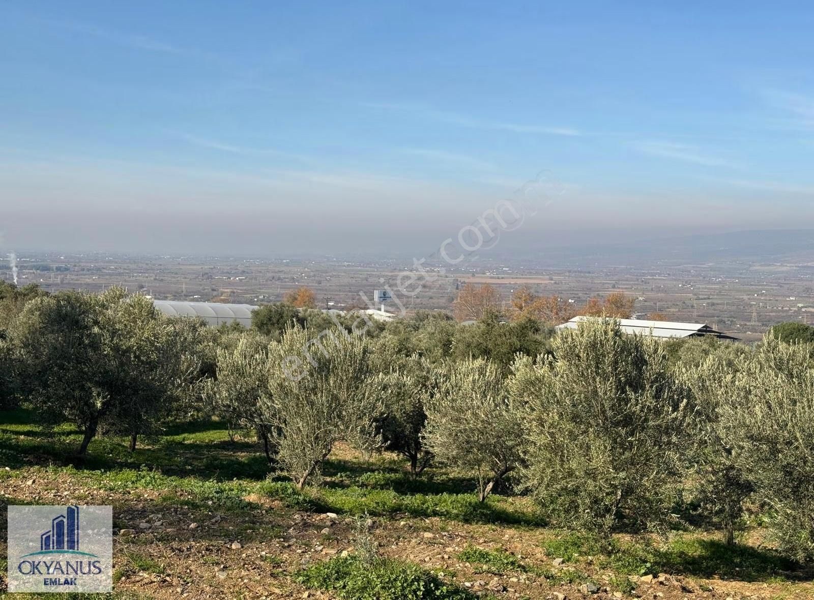 Derbentte 2.650m2, Telle Çevrili,suyu Var, Köye Yakın - Görsel 17