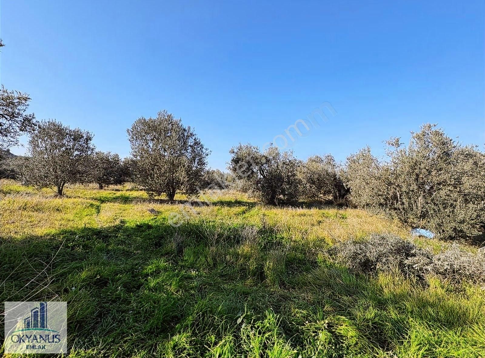 Derbentte 2.650m2, Telle Çevrili,suyu Var, Köye Yakın - Görsel 8