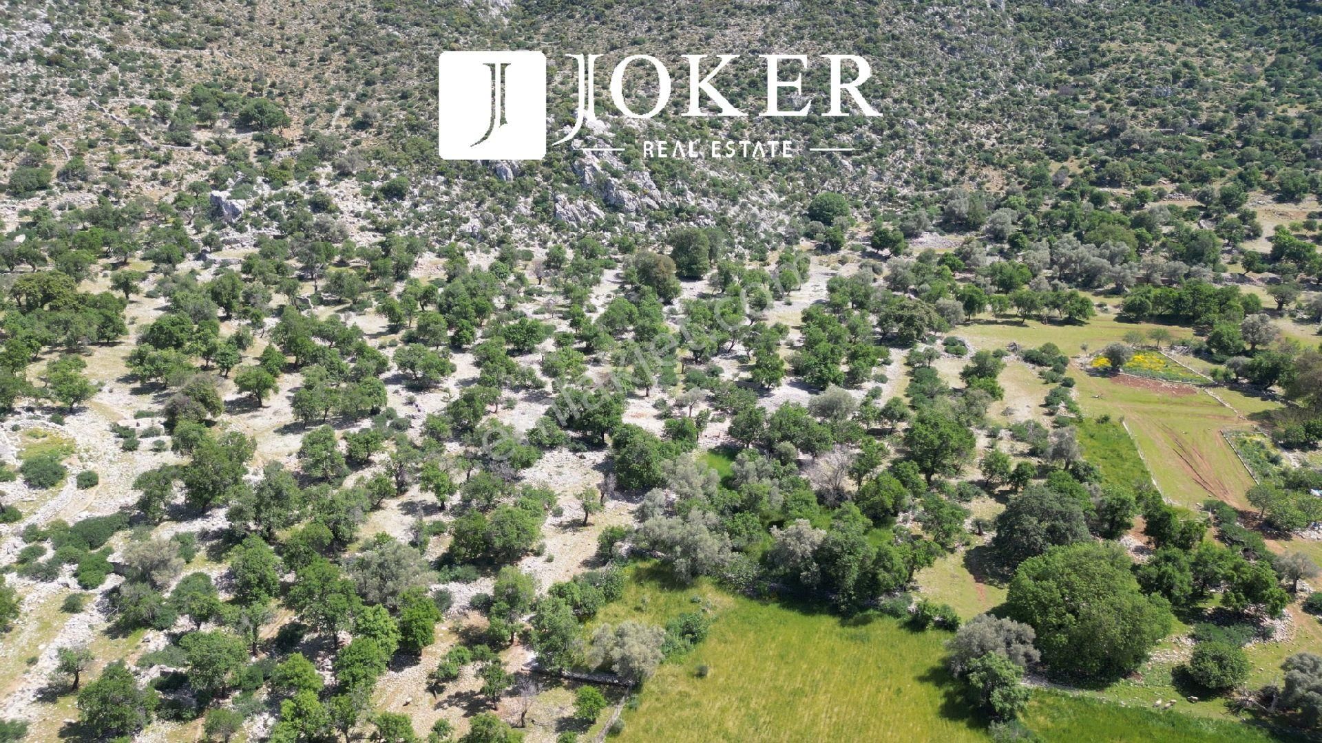Joker: Marmaris Taşlıca Yatırıma Uygun Sit Yok Düzlük Tarla - Görsel 6