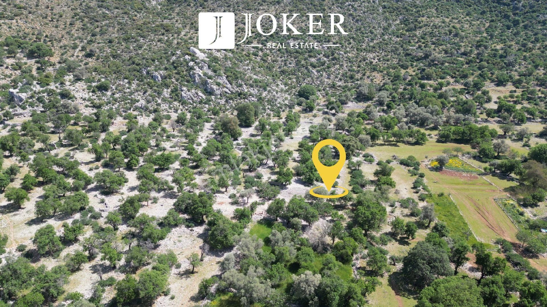 Joker: Marmaris Taşlıca Yatırıma Uygun Sit Yok Düzlük Tarla - Görsel 7