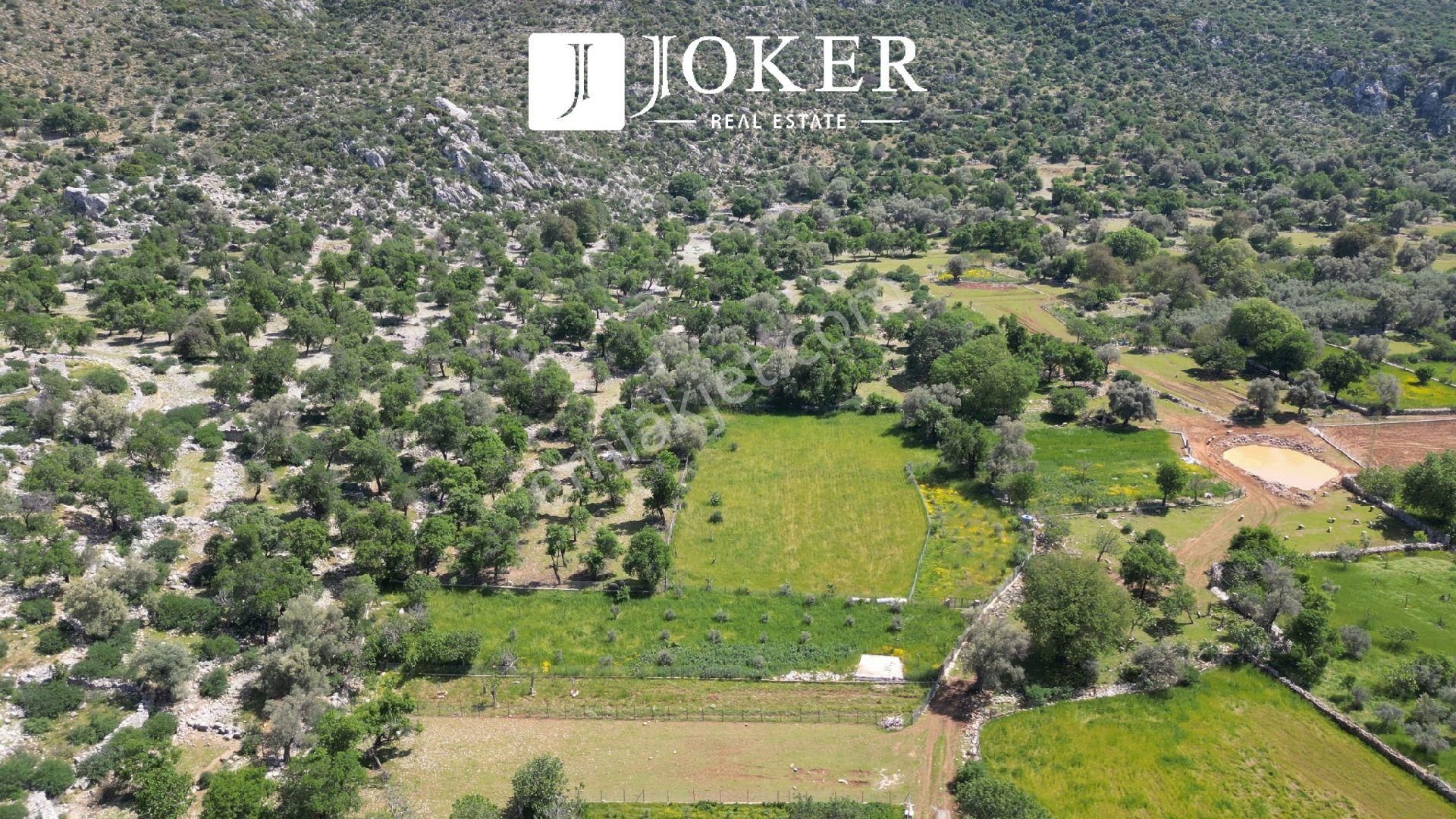 Joker: Marmaris Taşlıca Yatırıma Uygun Sit Yok Düzlük Tarla - Görsel 4