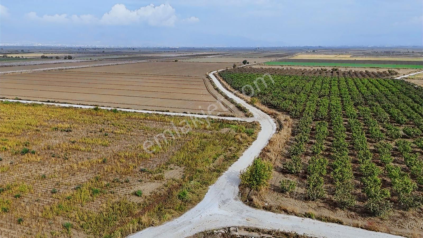 Tek Tapu Kadastrol Yola Cepheli 31 Dönüm Tarla - Görsel 7