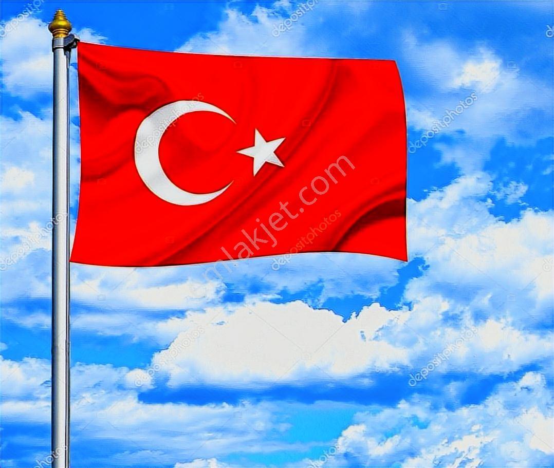 Güzel Lokasyonda Denize Sıfır Geniş Bahçeli 5+2 Muhteşem Villa - Görsel 34